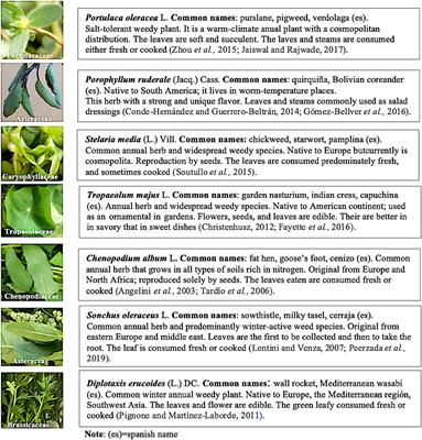 Assessment of the Volatile Profiles and Identification of Differentiating Aromas of Wild Undervalued Plants